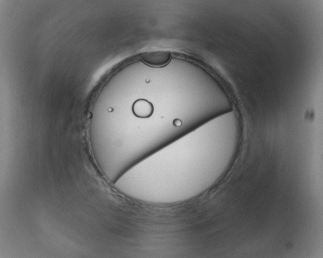 X0000111051312200906251109