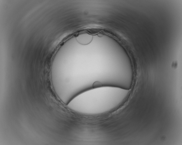X0000111051313200906251109