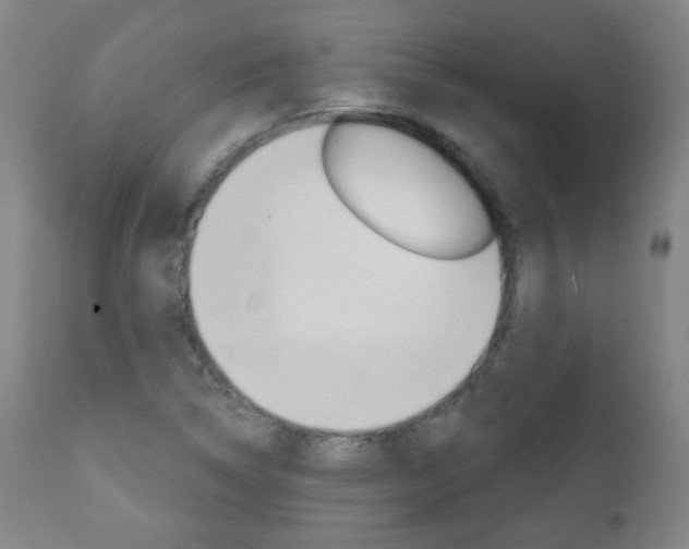 X0000111051314200906251109