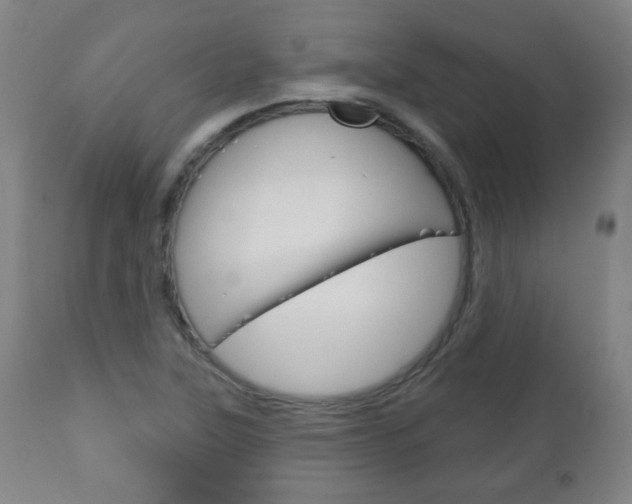 X0000111051315200906251109