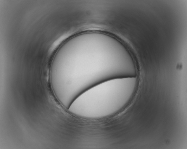 X0000111051317200906251109