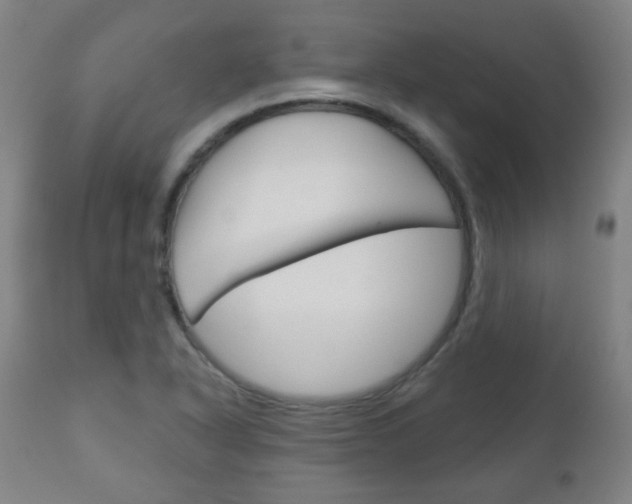 X0000111051318200906251109