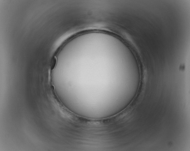 X0000111051320200906251109