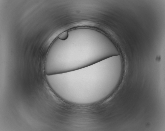 X0000111051321200906251109
