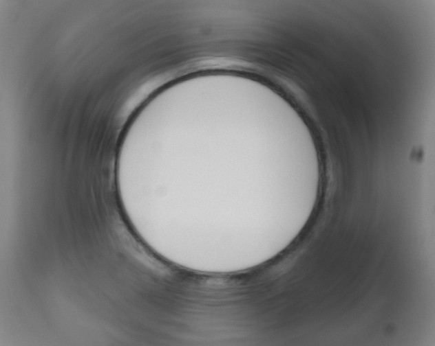 X0000111051322200906251109