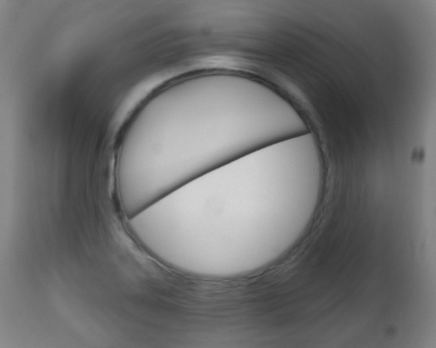 X0000111051323200906251109