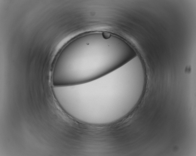 X0000111051324200906251109