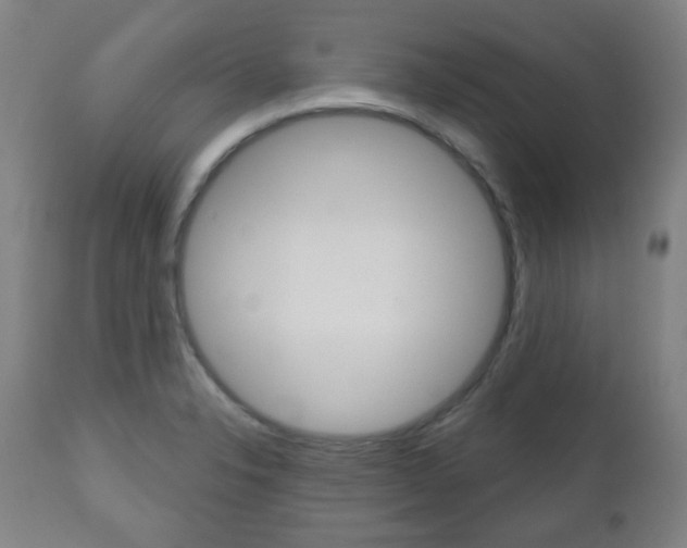 X0000111051326200906251109