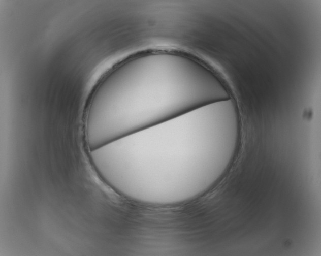 X0000111051327200906251110
