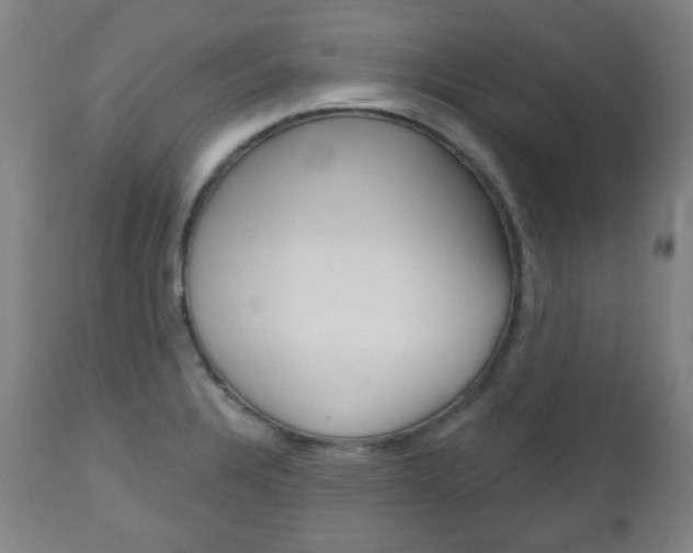 X0000111051328200906251110