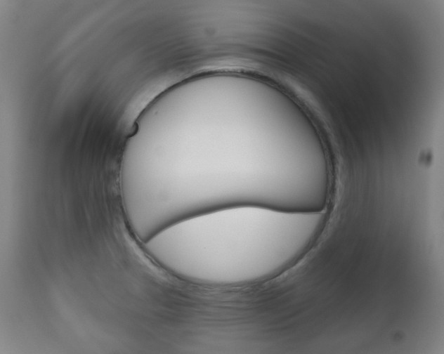 X0000111051329200906251110