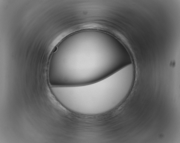 X0000111051330200906251110