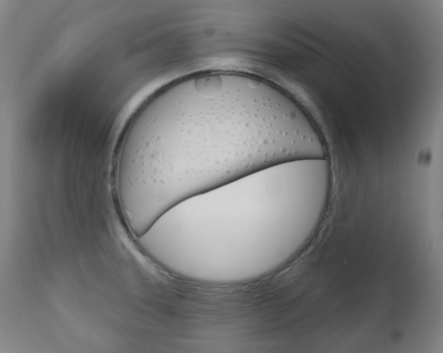 X0000111051331200906251110