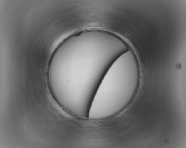 X0000111051333200906251110