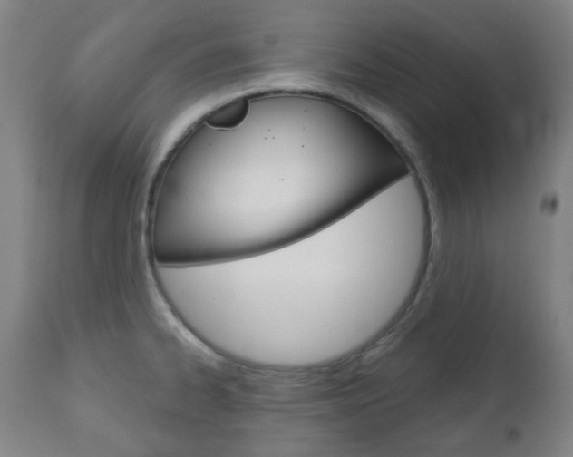 X0000111051334200906251110
