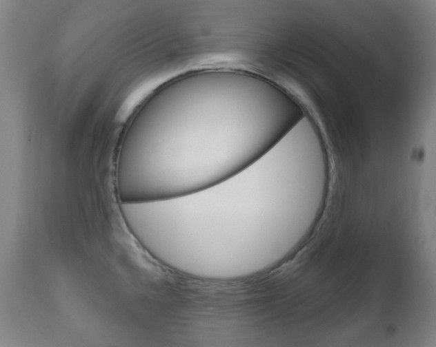 X0000111051336200906251110