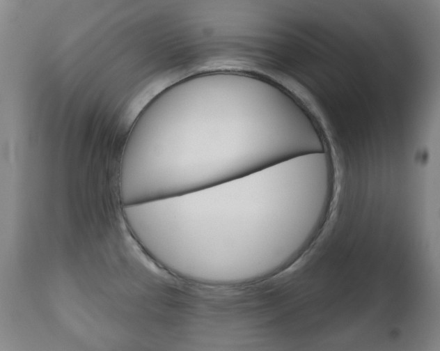 X0000111051337200906251110