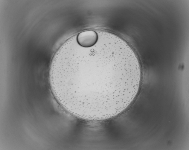 X0000111051338200906251110