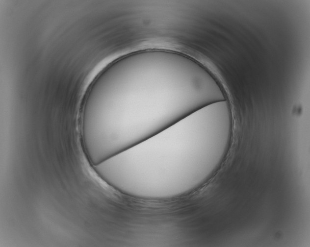 X0000111051339200906251110