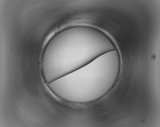 X0000111051341200906251110