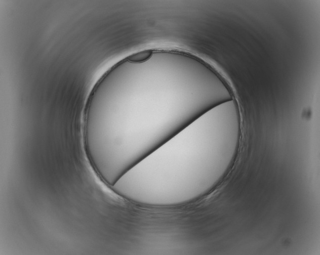 X0000111051343200906251110