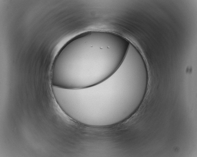 X0000111051344200906251110