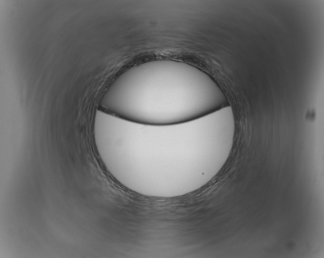X0000111051345200906251109
