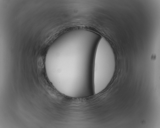 X0000111051347200906251109