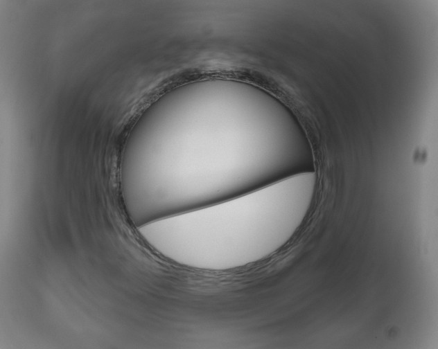 X0000111051348200906251109
