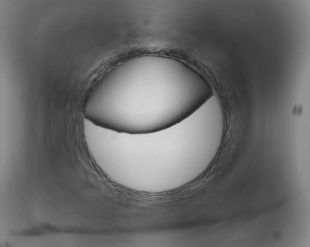 X0000111051349200906251109
