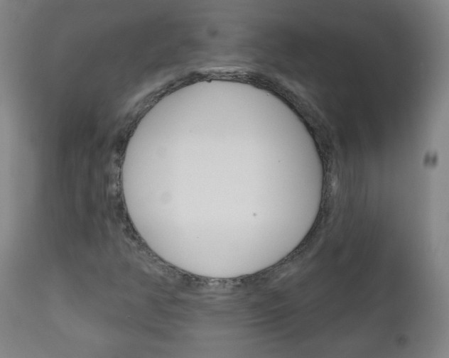 X0000111051350200906251109