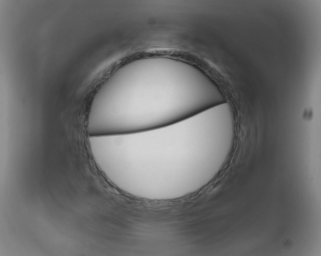 X0000111051351200906251109
