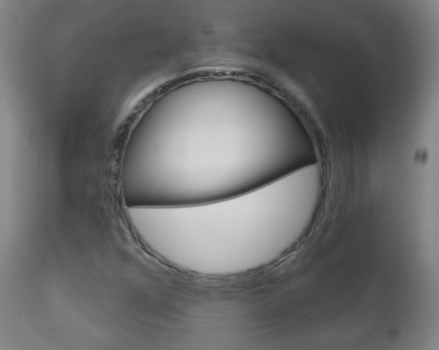 X0000111051352200906251109