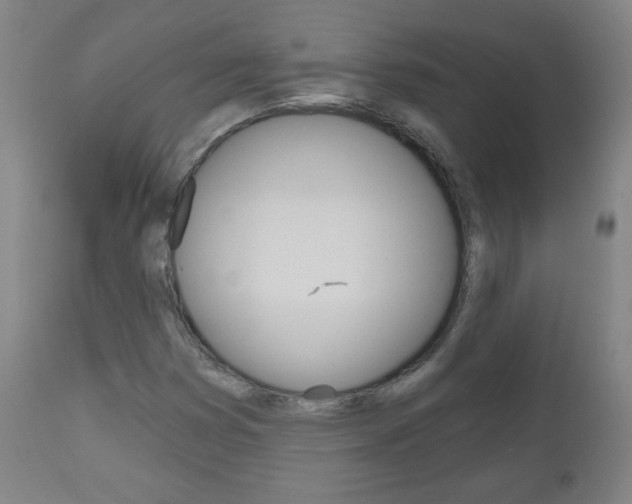 X0000111051353200906251109