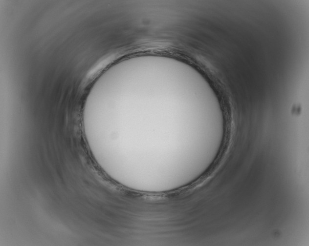 X0000111051354200906251109
