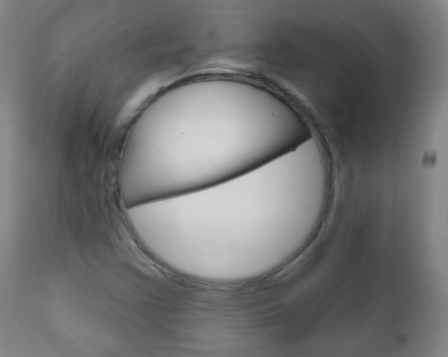 X0000111051355200906251109