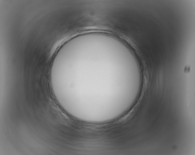 X0000111051357200906251109