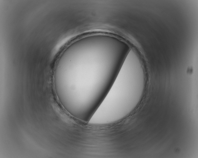 X0000111051360200906251109