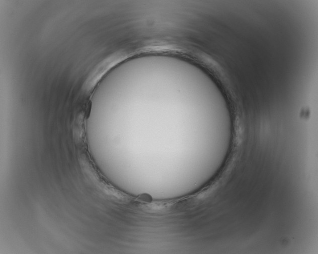 X0000111051361200906251109