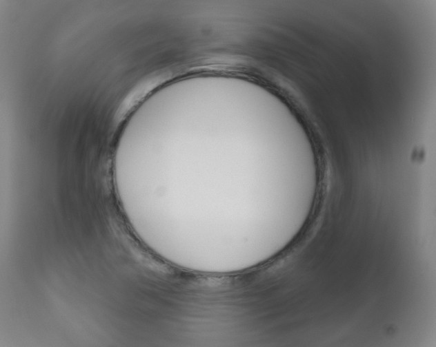 X0000111051362200906251109