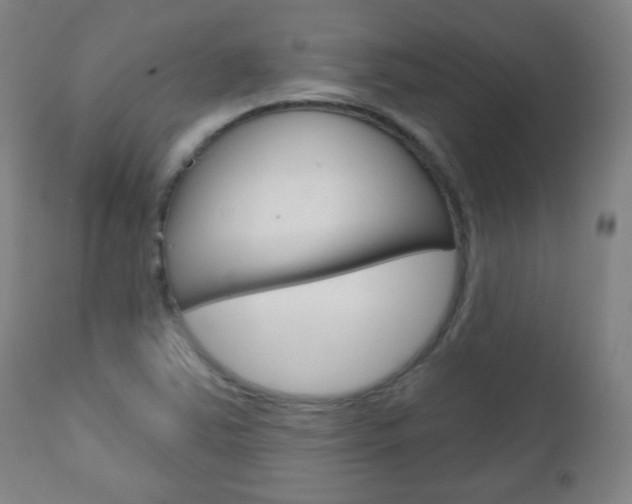 X0000111051363200906251109