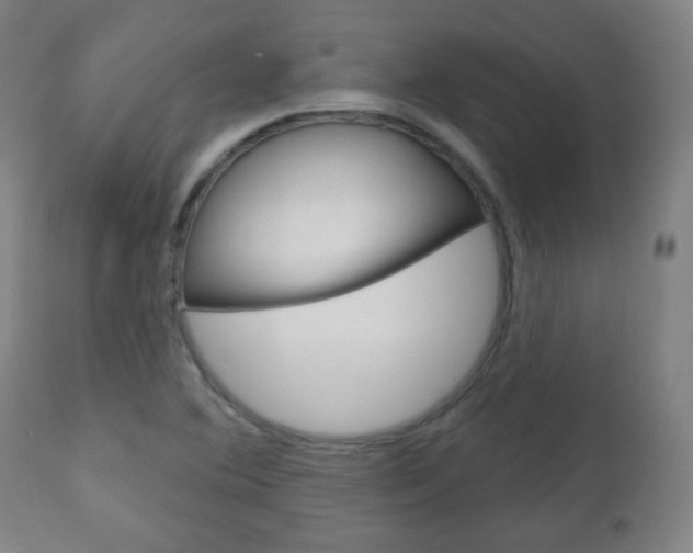 X0000111051364200906251109