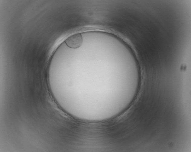 X0000111051365200906251109