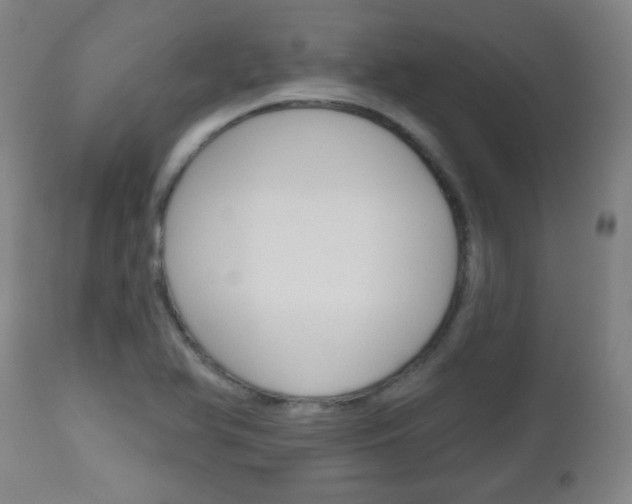 X0000111051366200906251109