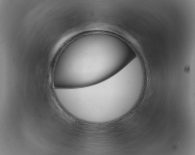 X0000111051368200906251109