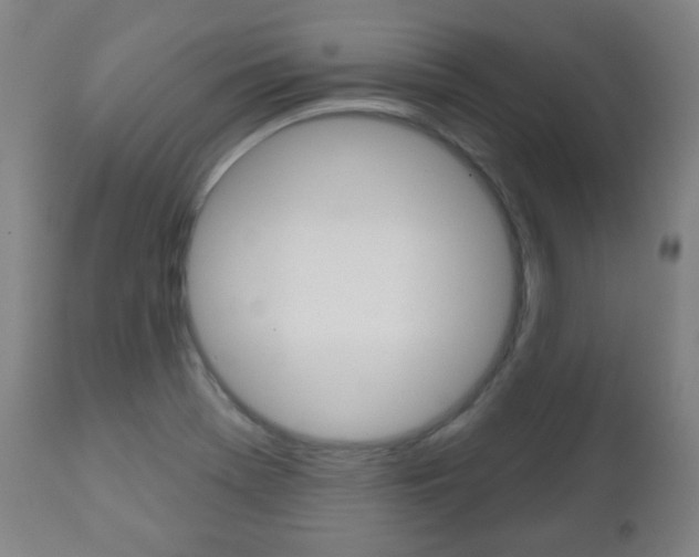 X0000111051369200906251109