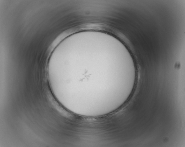 X0000111051370200906251109