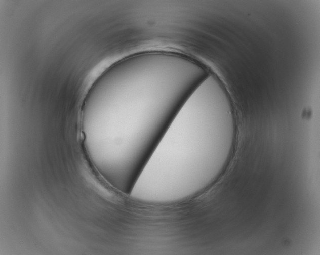 X0000111051371200906251109