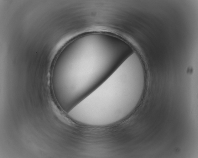 X0000111051372200906251109