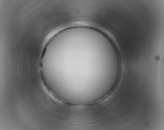 X0000111051373200906251109